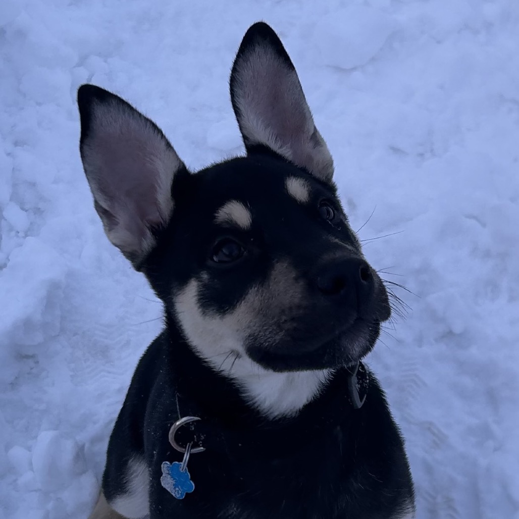 Mickey — thumbnail 4