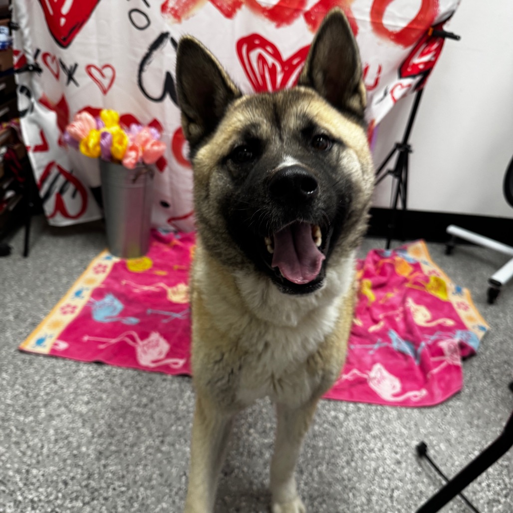 Zeus — thumbnail 2