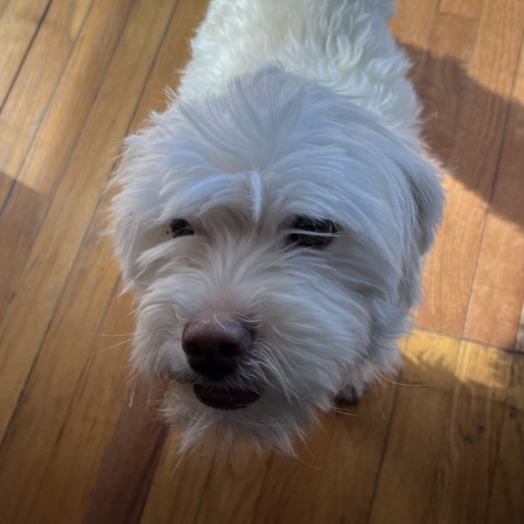 Lazio — thumbnail 4