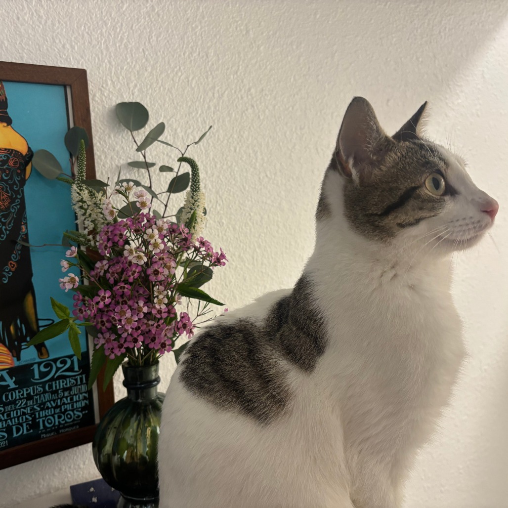 Tulane — thumbnail 11