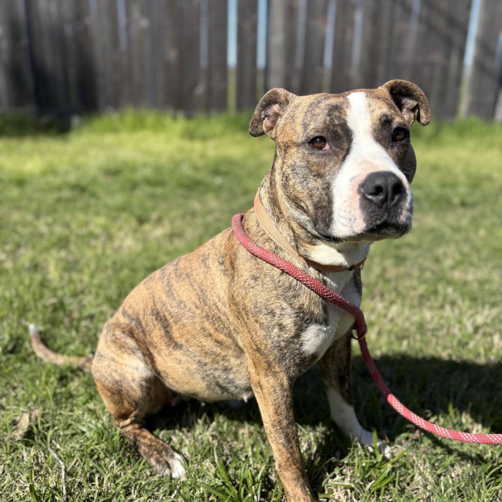 KATE — thumbnail 4