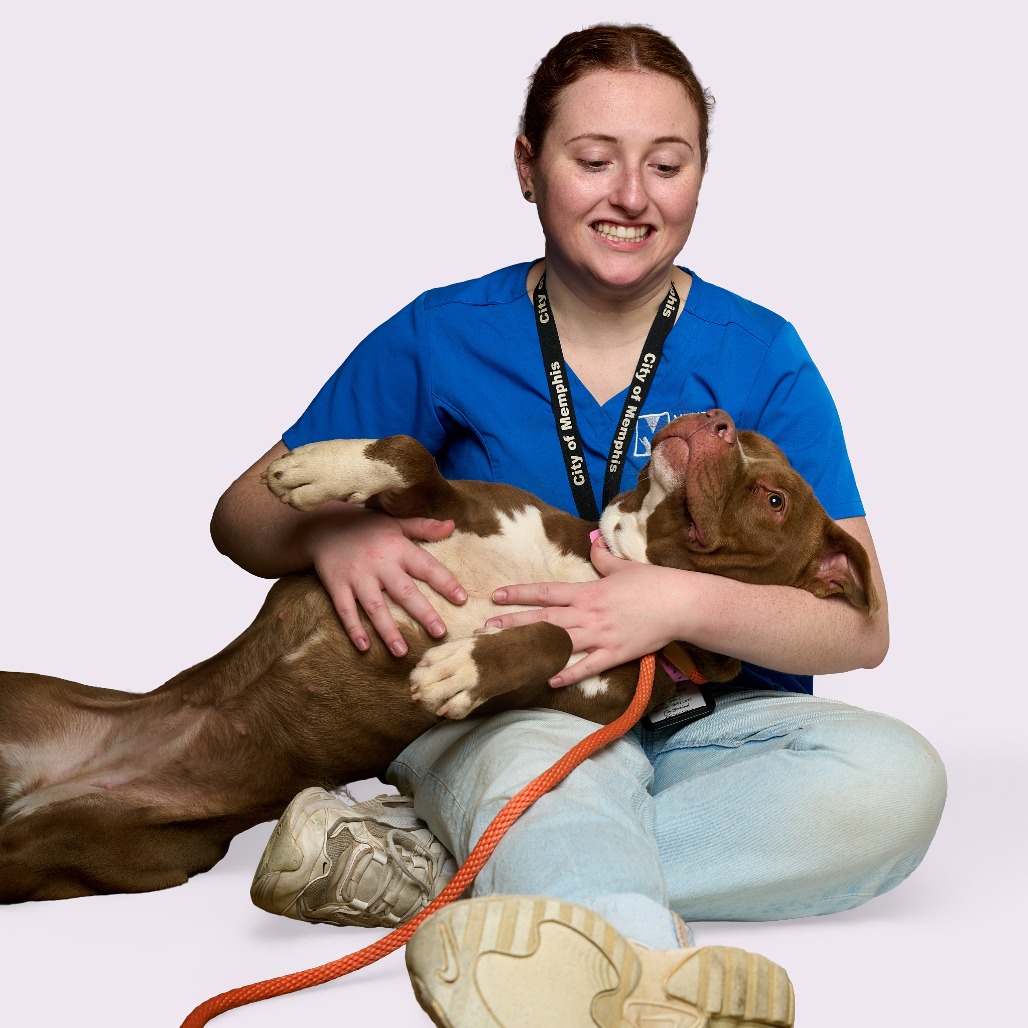 Sharnice — thumbnail 3