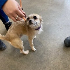 7e108c79e5fe1a5450c1f70c23e222bb