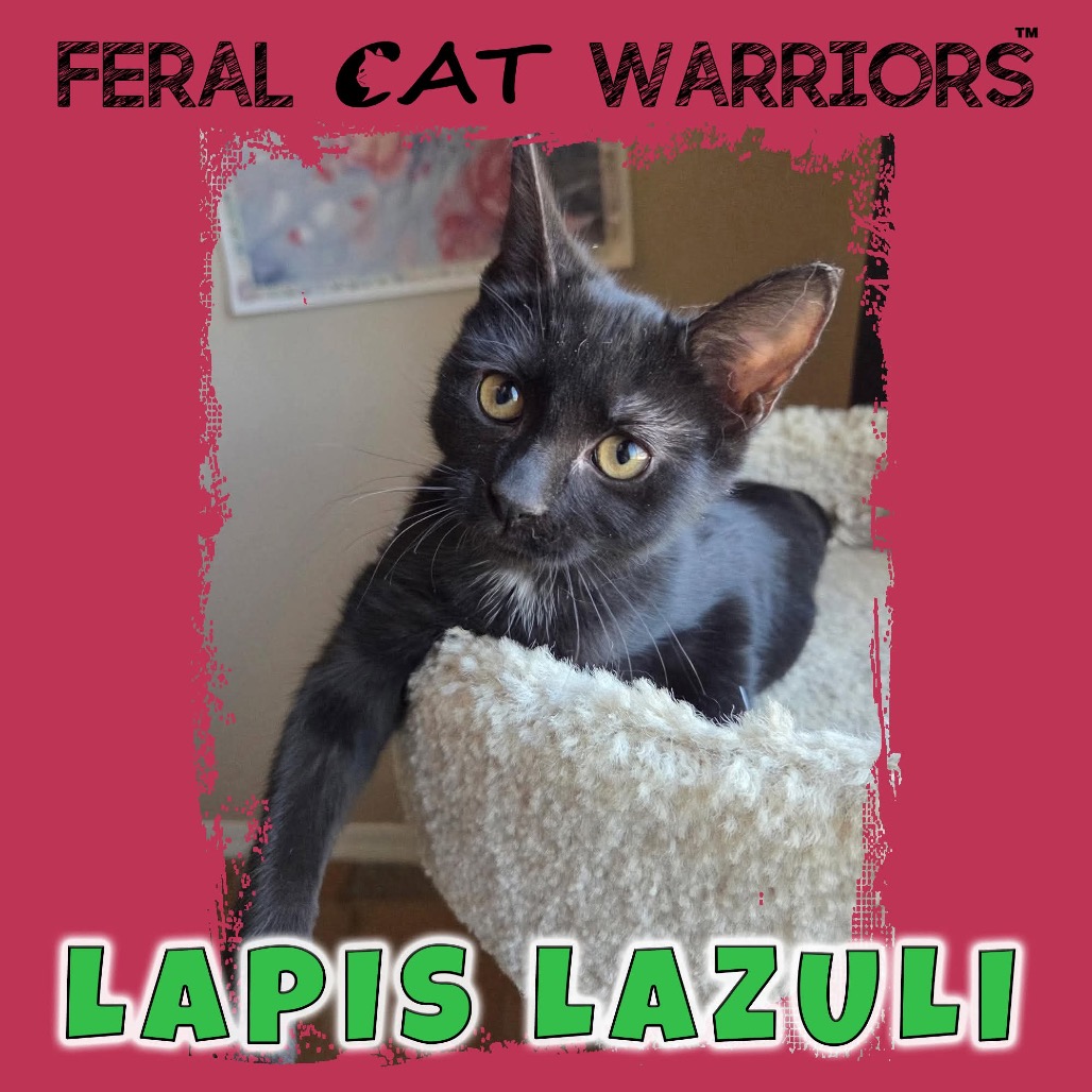 Lapis Lazuli