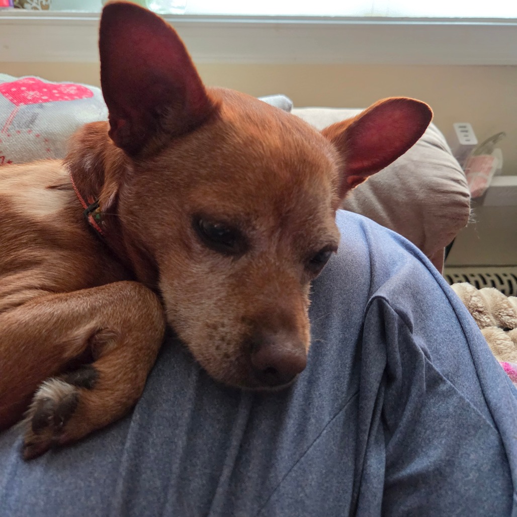 Frito, photo 23