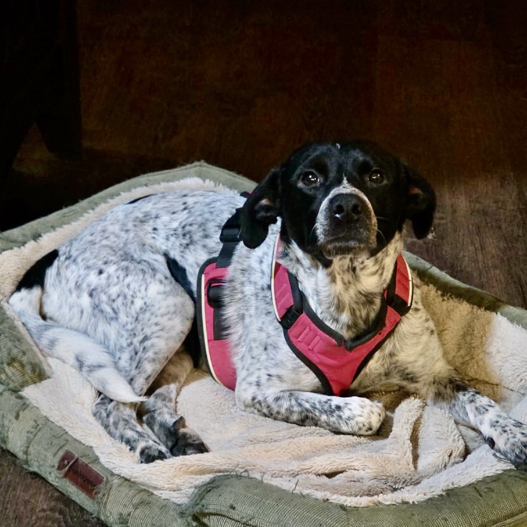 William — thumbnail 3