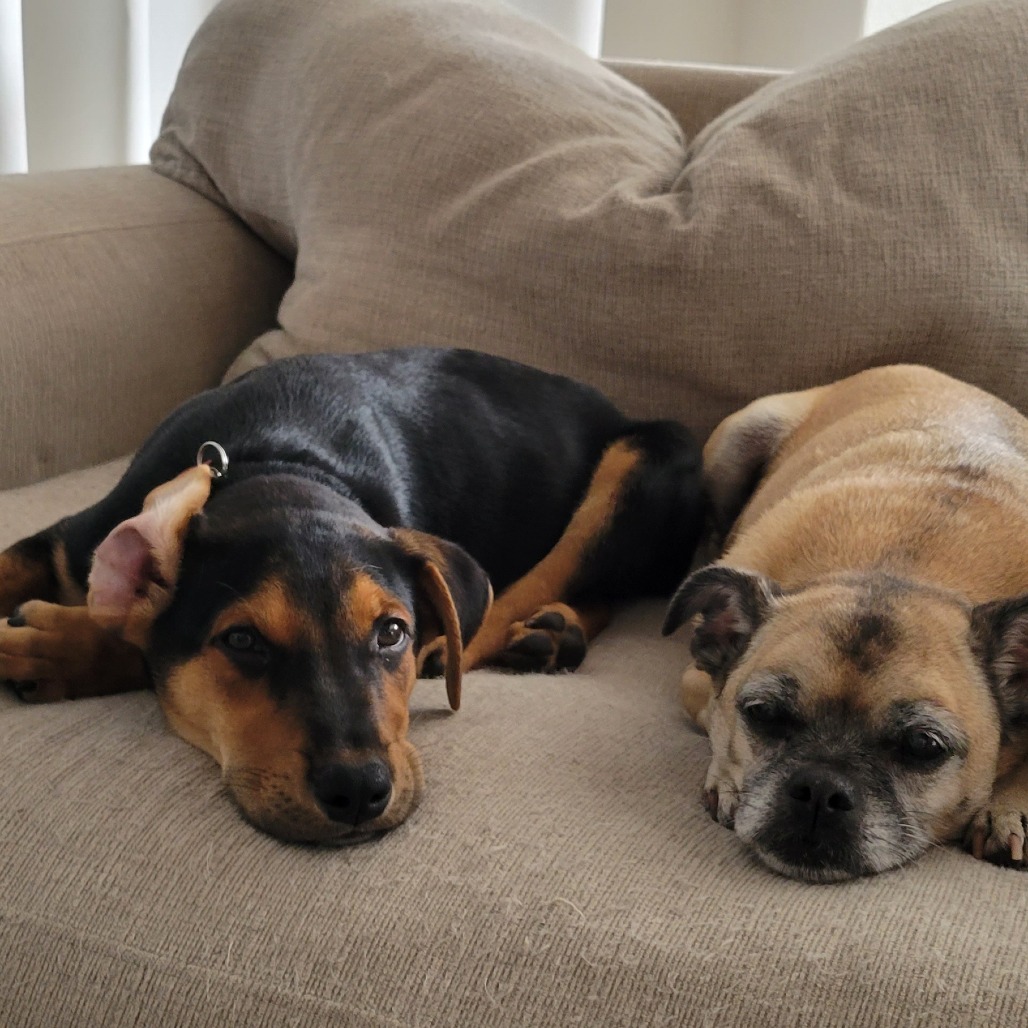 Frasier, photo 9