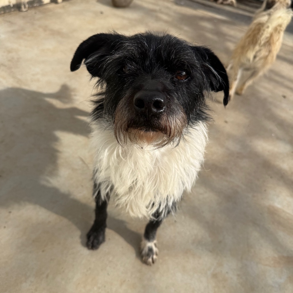 FINNEGAN — thumbnail 4