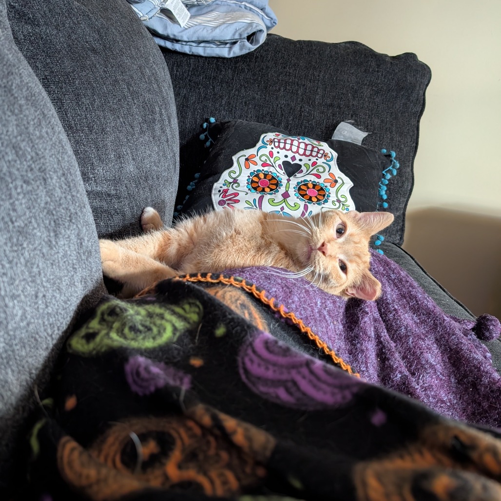 Charlie — thumbnail 4