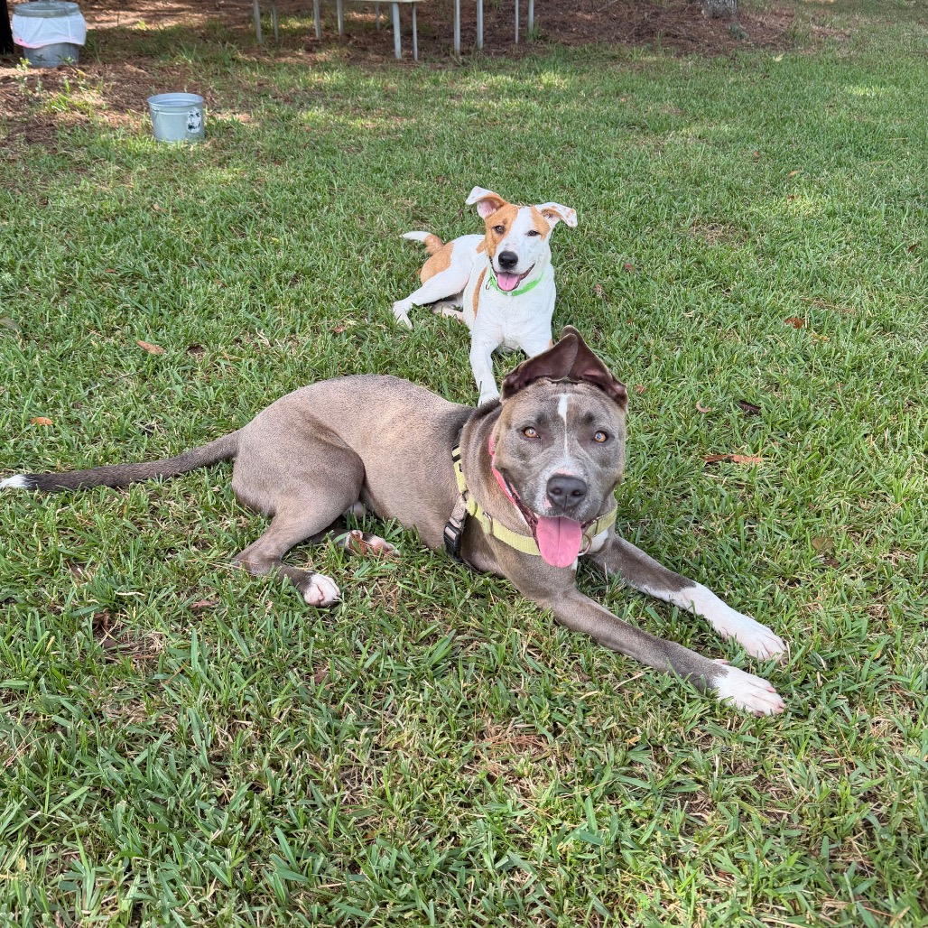 Hondo, photo 17