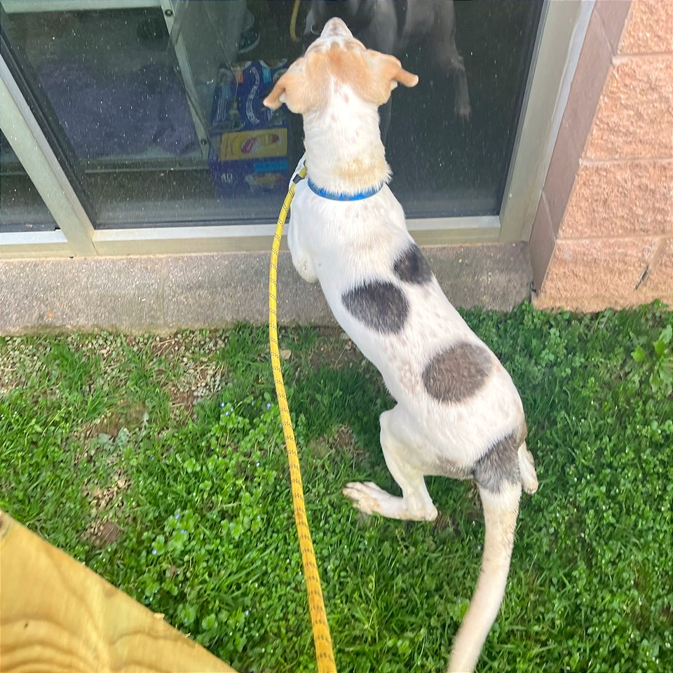 French Toast — thumbnail 10