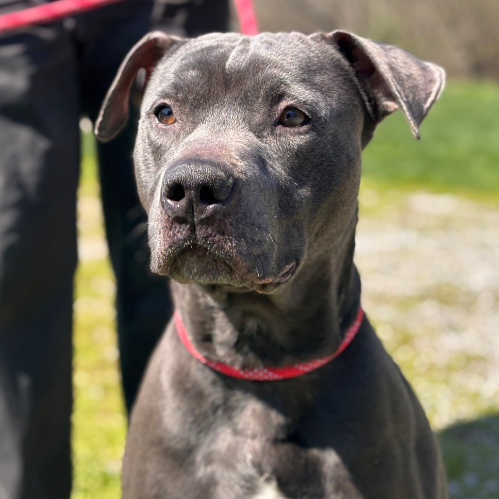 1772a1b2b121c80d7972390cac487631