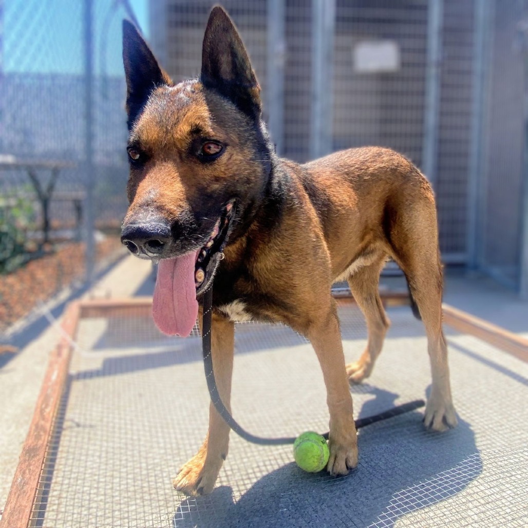 Ghirardelli — thumbnail 3