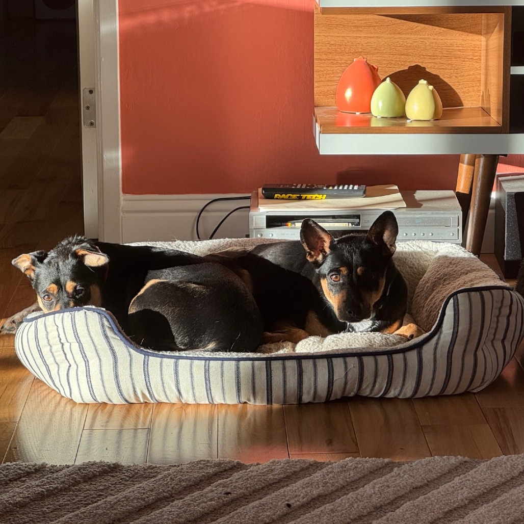 TIZZY, photo 5