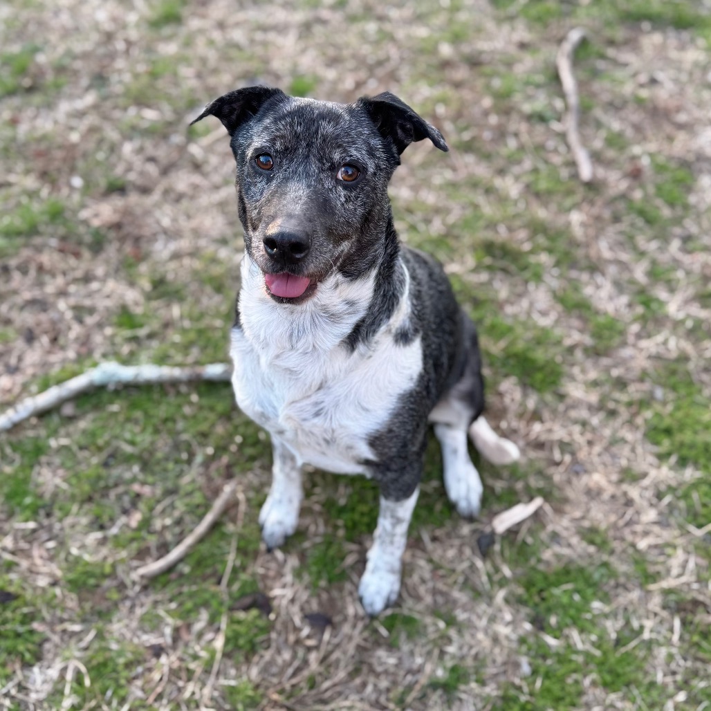 Sienna — thumbnail 2