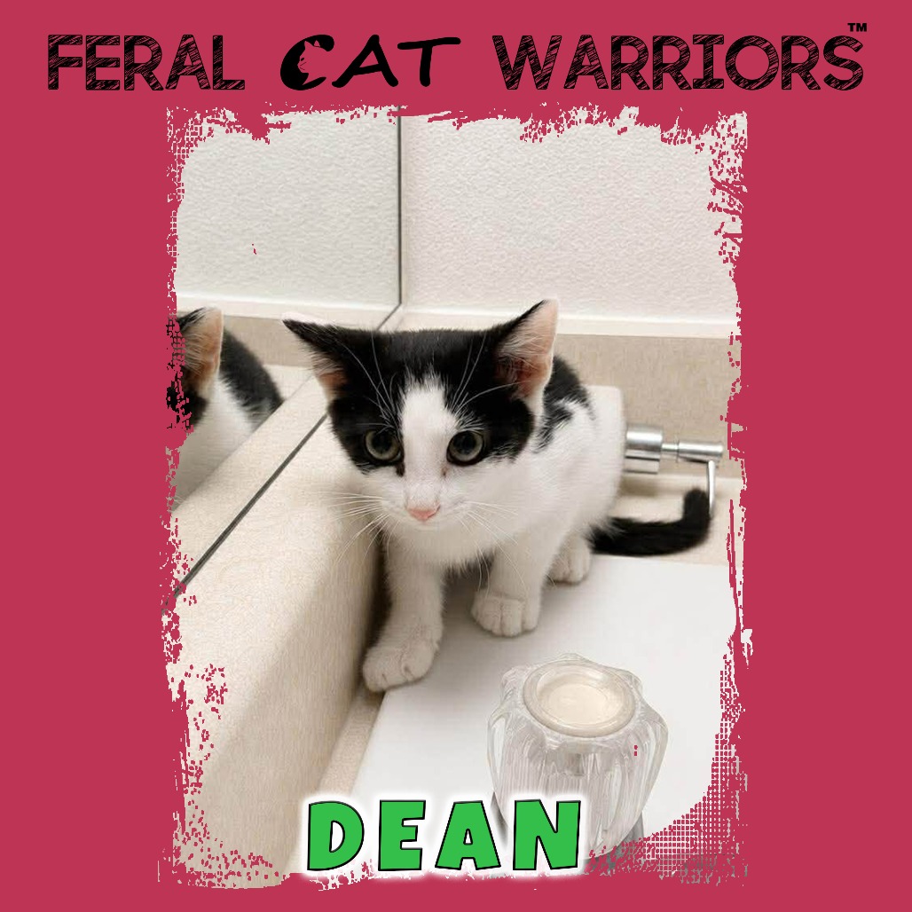 Dean