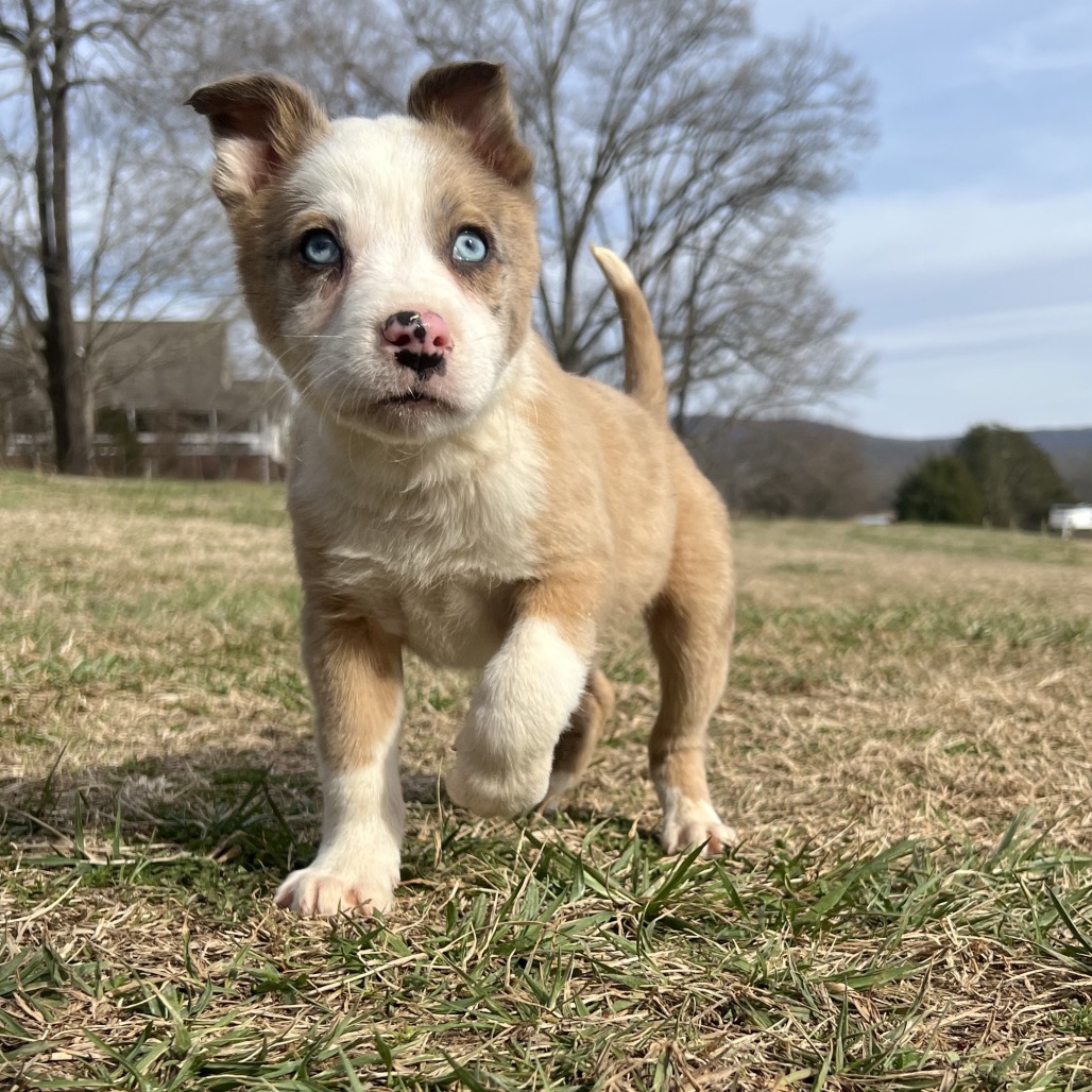 Haymitch — thumbnail 3