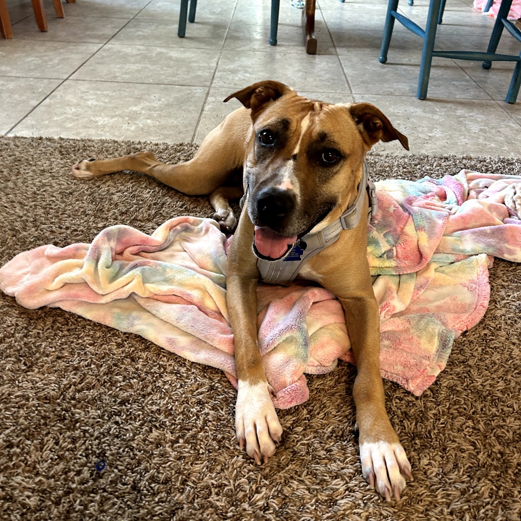 Ruthie, photo 15