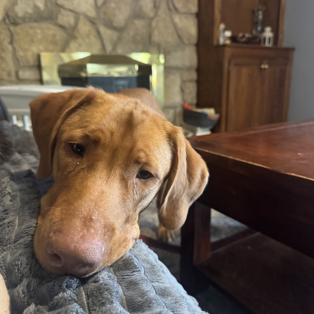 Butter, photo 5