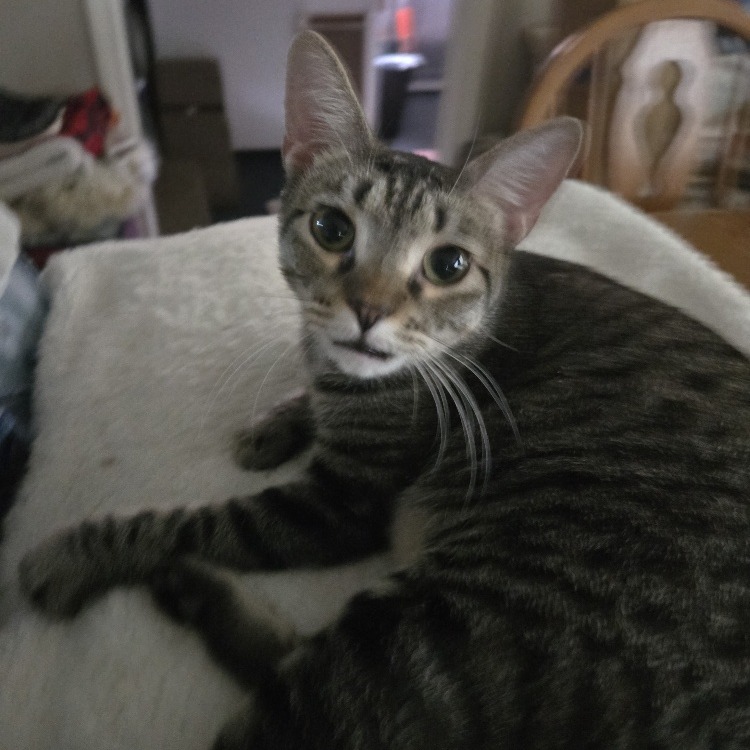 Sandy, photo 11