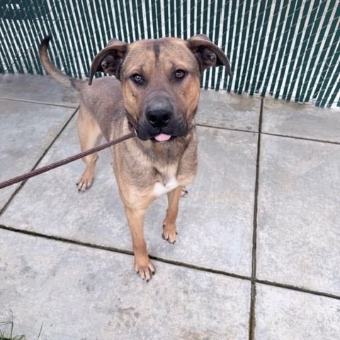 Kennel#20Titan's preview photo