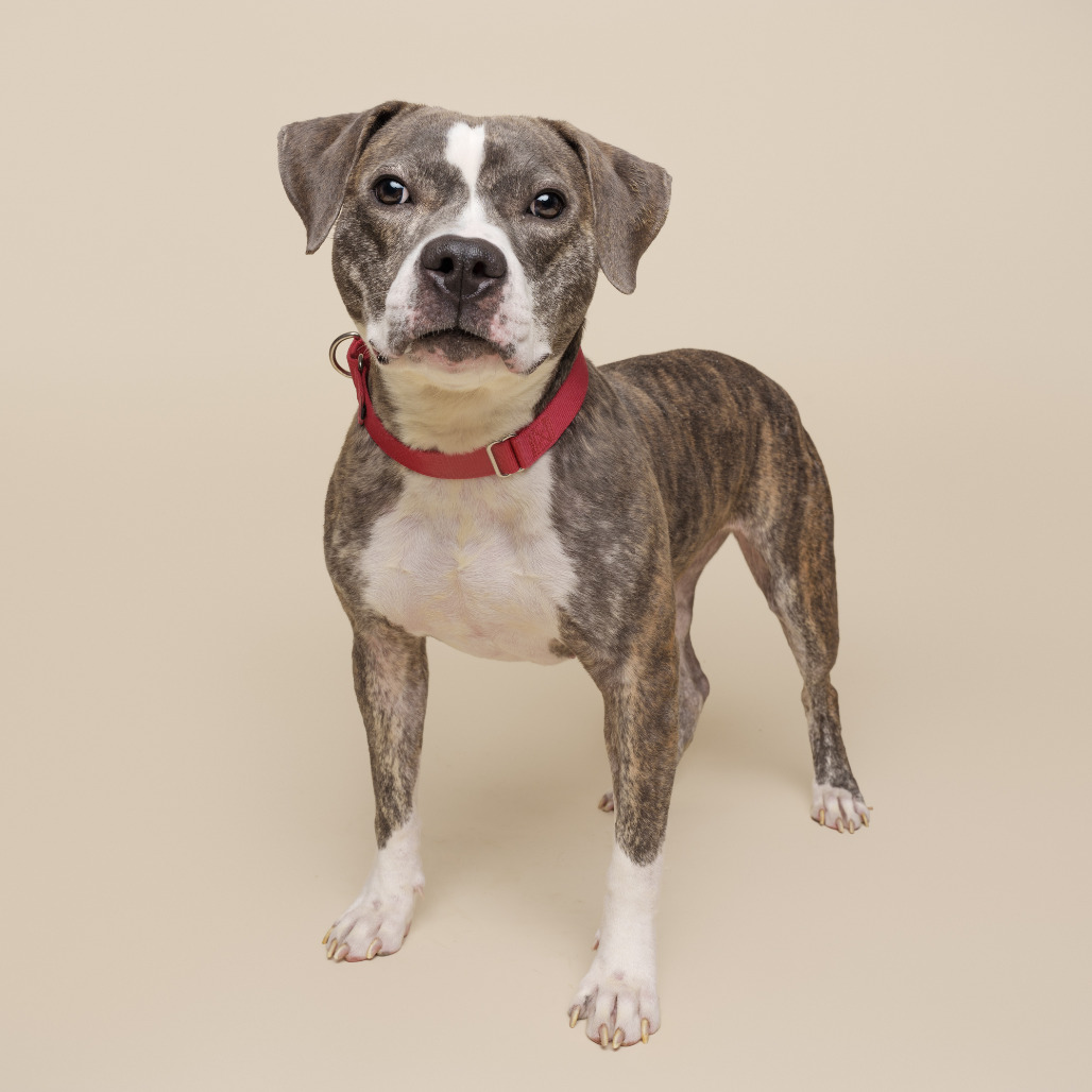 Photo of Mabel 4