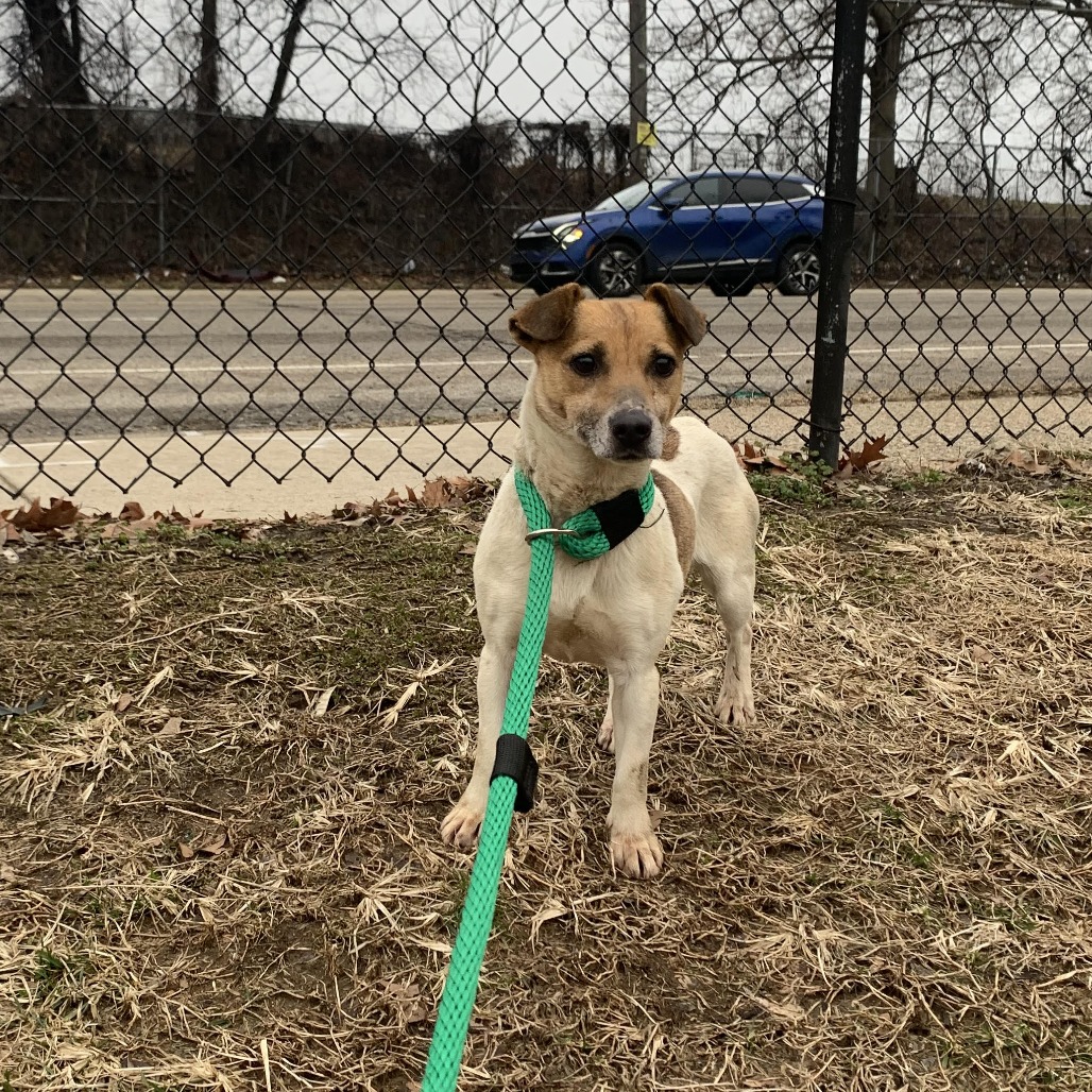 Myrtle — thumbnail 3