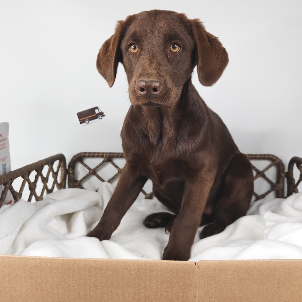 Boxes