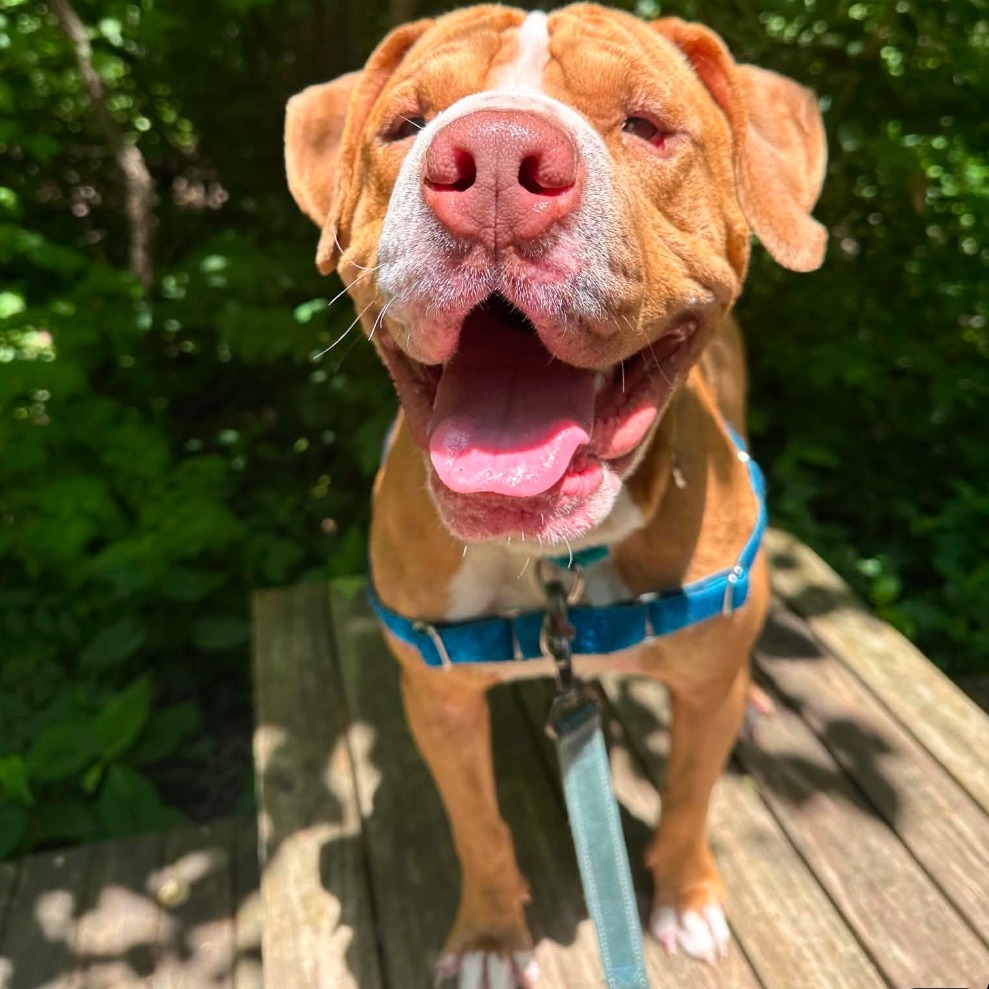 Wrinkles