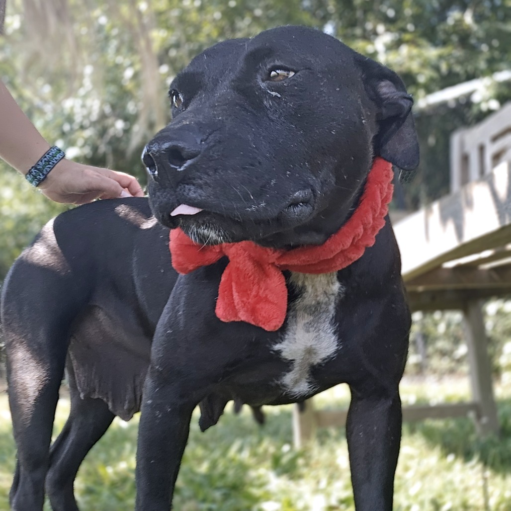 Brooklyn — thumbnail 2