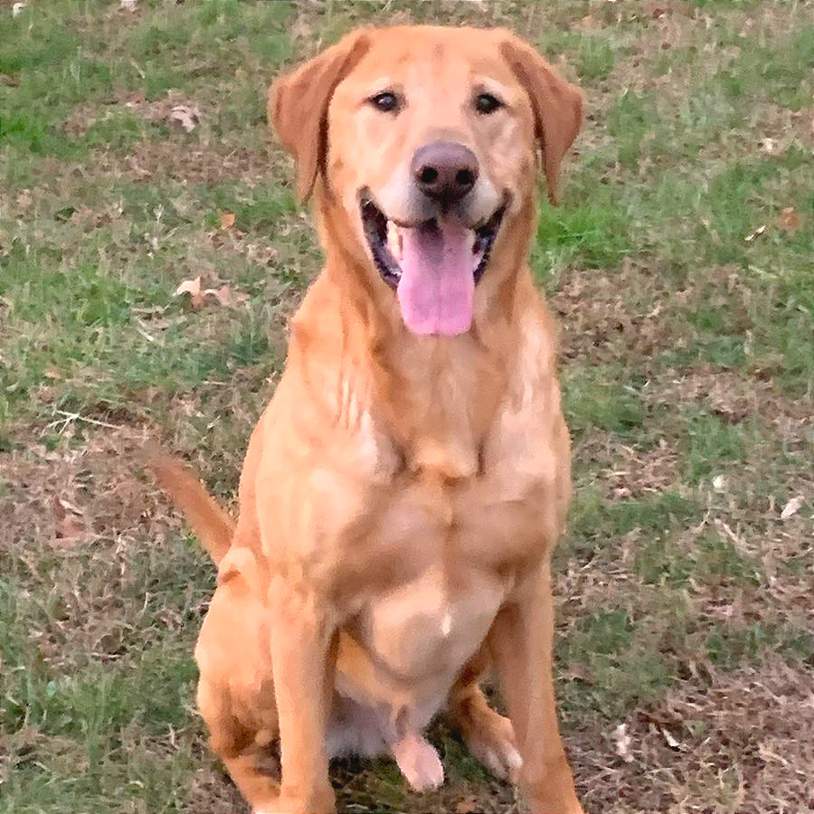 Belly Boops — thumbnail 7