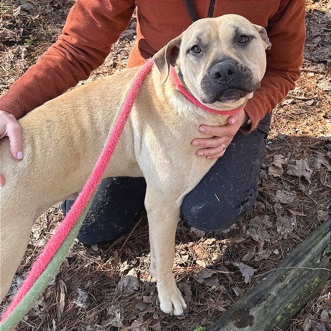 Samwise — thumbnail 7