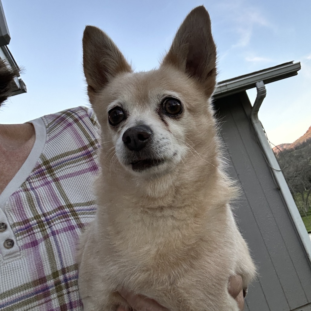 Horacio — thumbnail 5