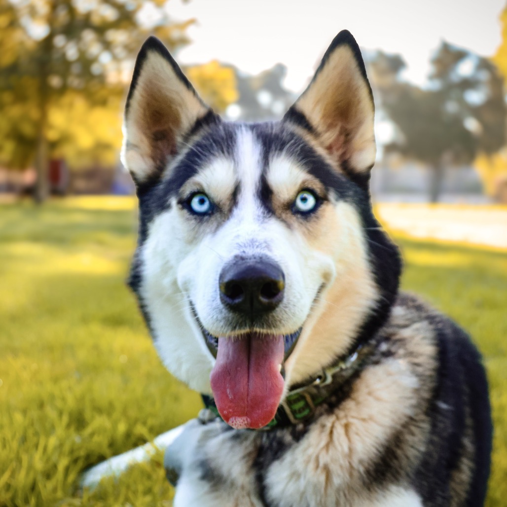OAKLEY, photo 16