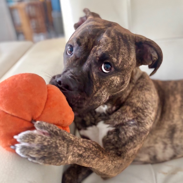 Photo of Jordan playing