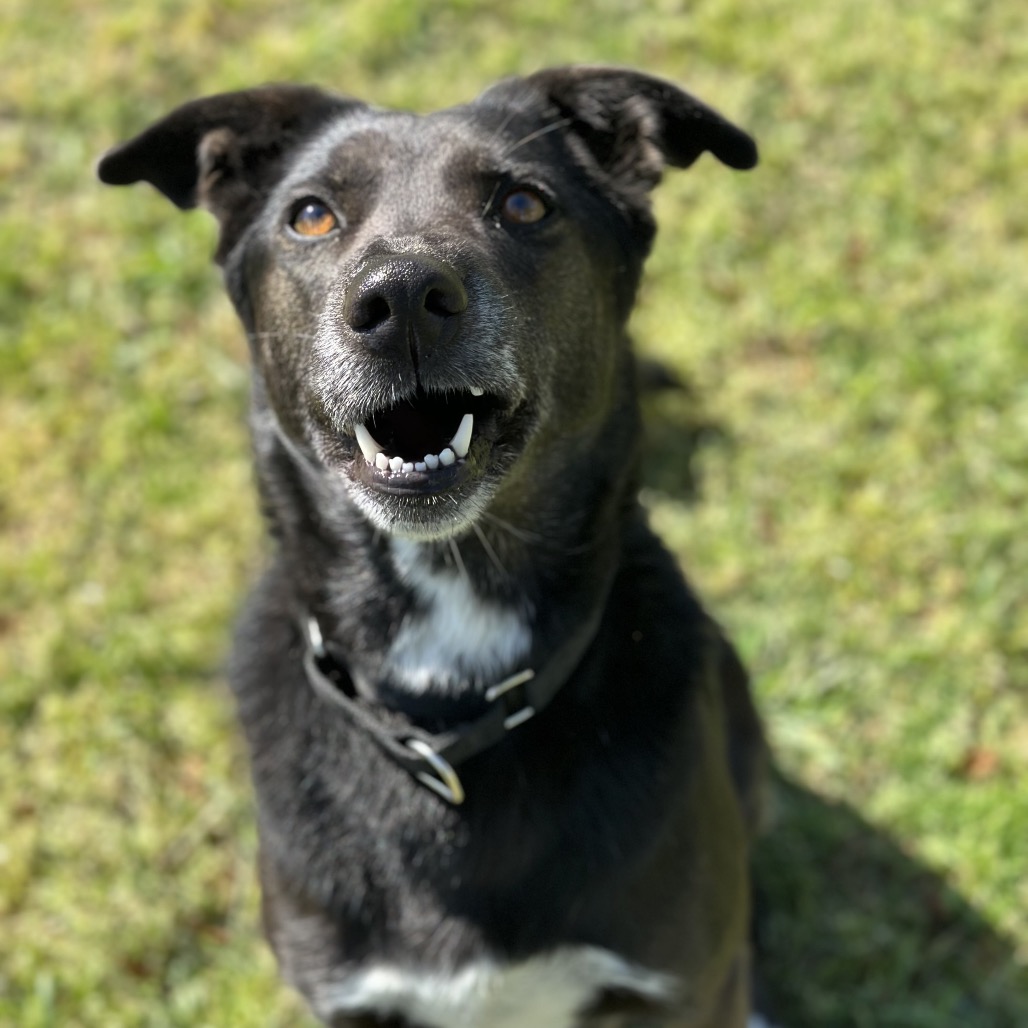 Twix, photo 27