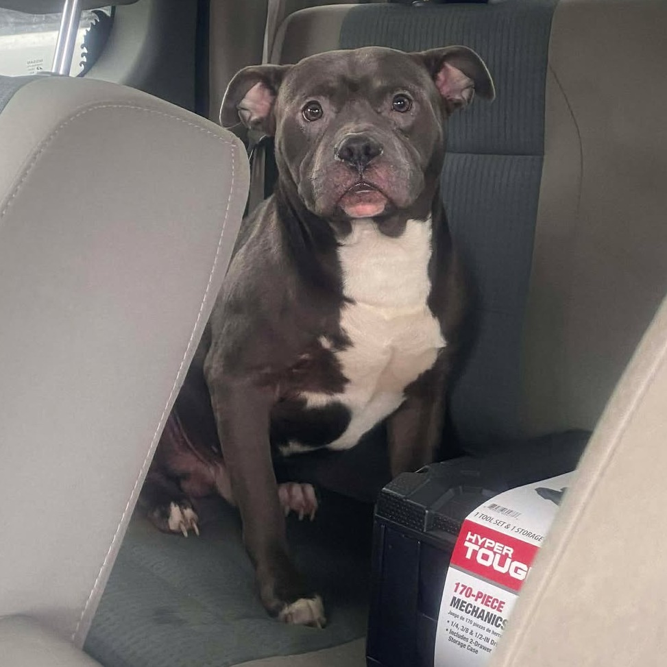 Oxford — thumbnail 2