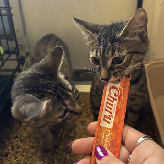 Twix picture #3
