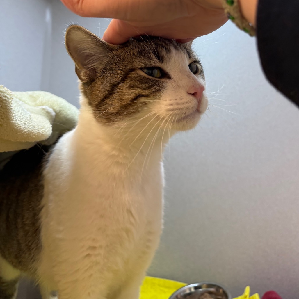 Photo of Nick Carraway 9