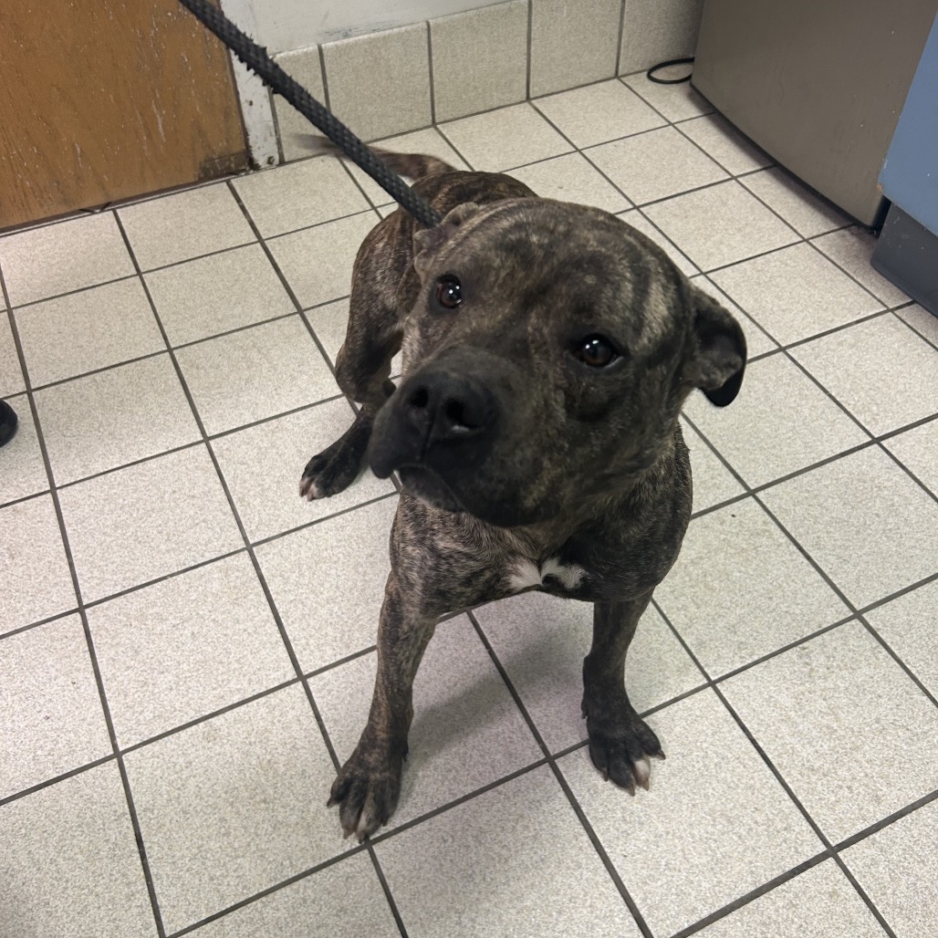 Moochie — thumbnail 2