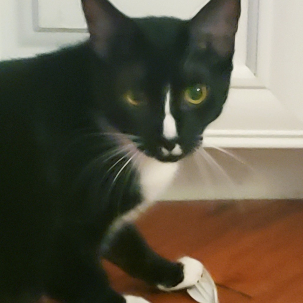 Linus