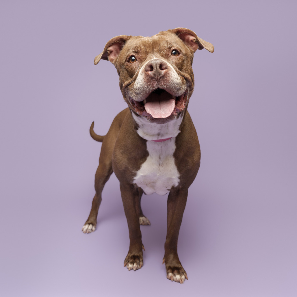 Photo of Gertie 11