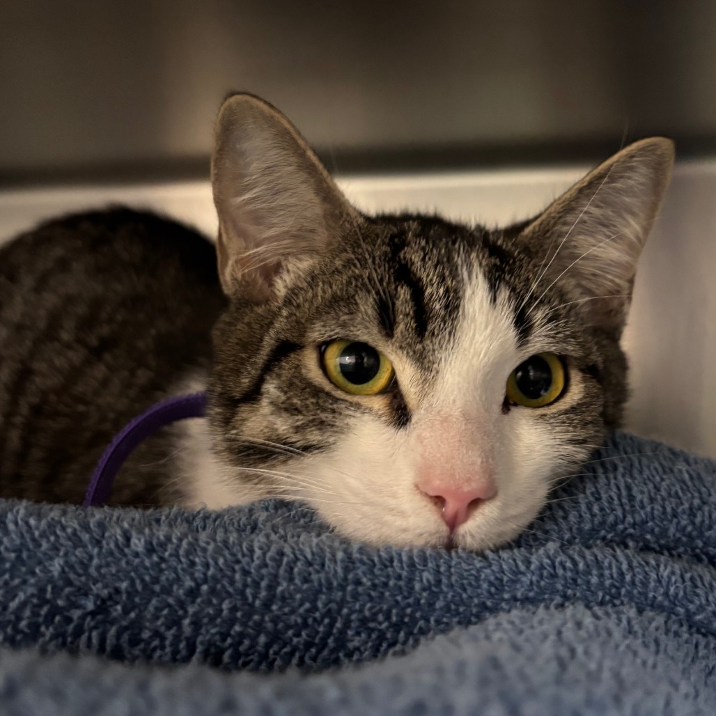 Noel-See my Video! — thumbnail 6