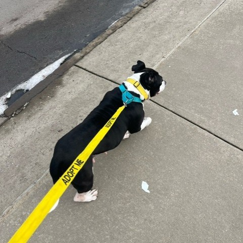 Photo of Zibby 12