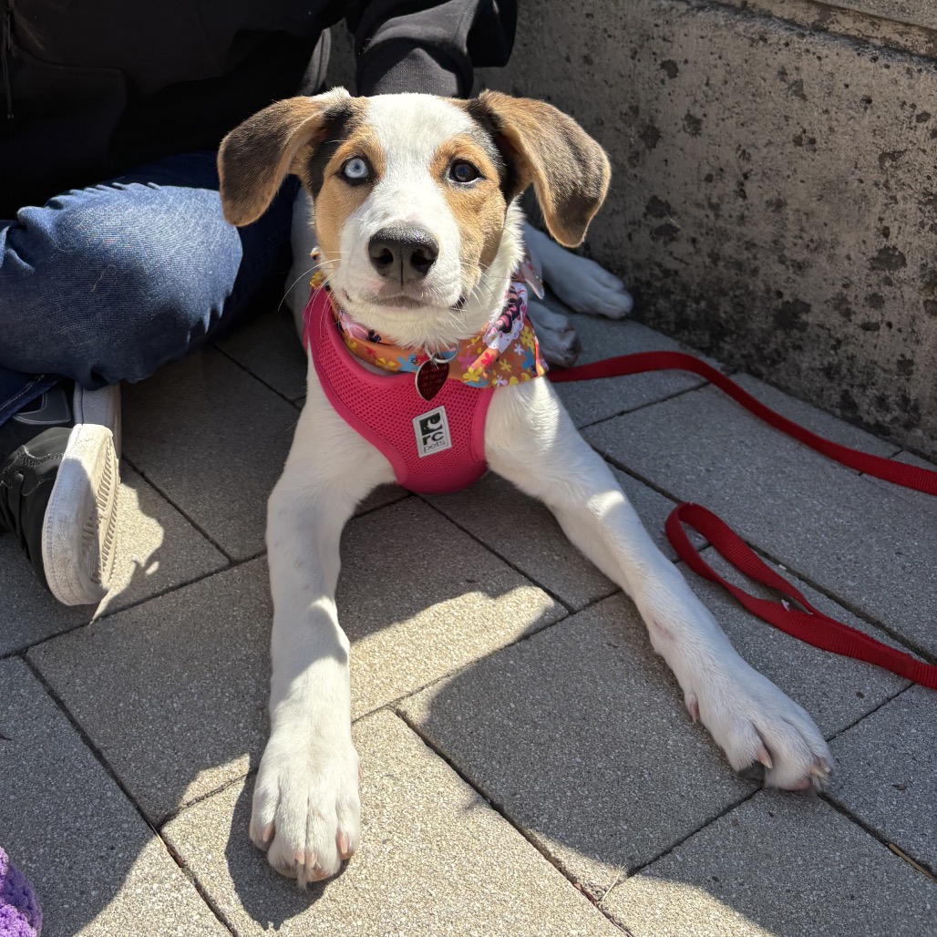 WREN, photo 10