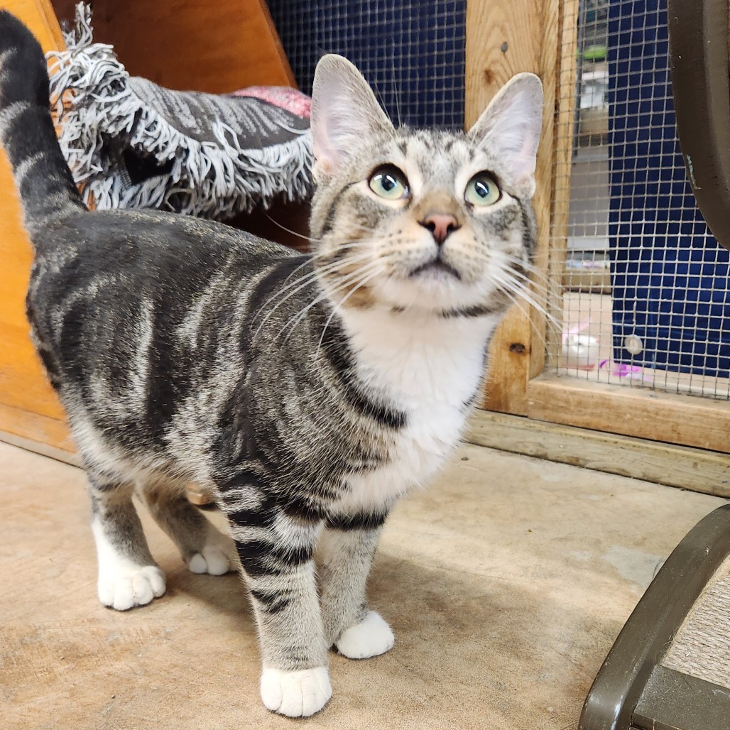 Mateo — thumbnail 2