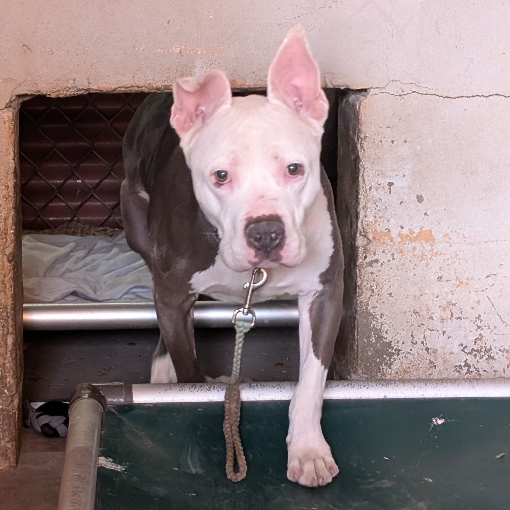 Coleslaw — thumbnail 5