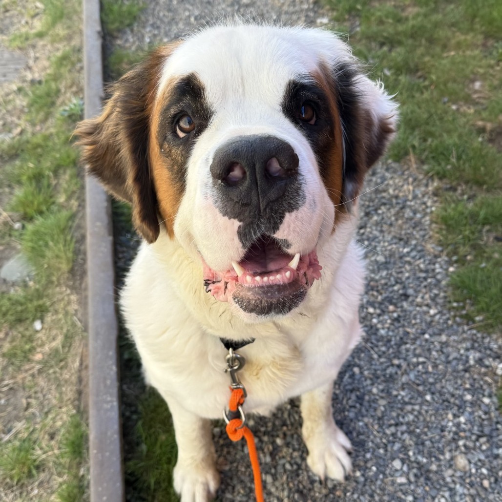 Bonnie