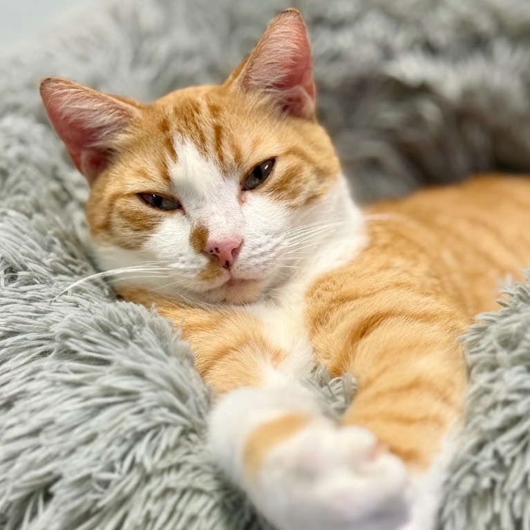 Another portrait of Lonnie