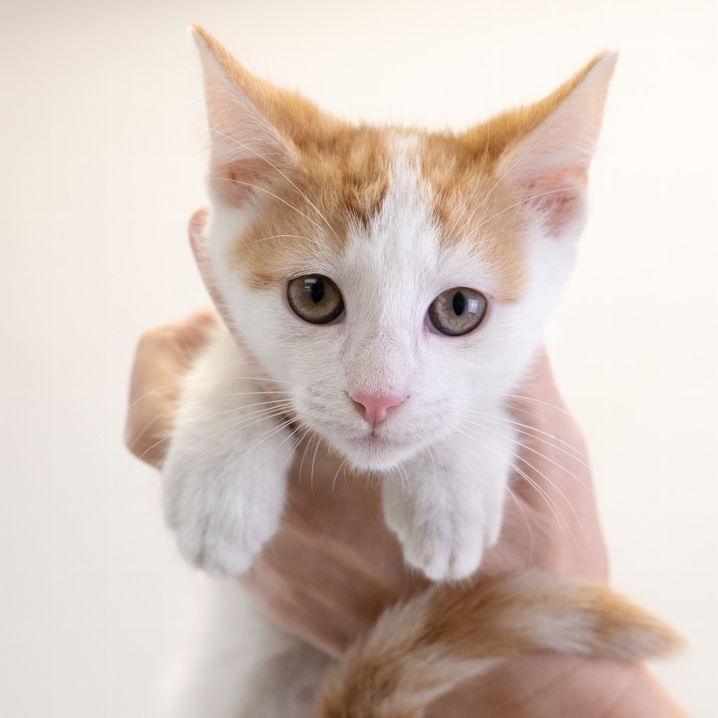 Ivan *Meet me at Eagan Petsmart*